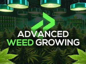 Weed Plantation & Growing for FiveM